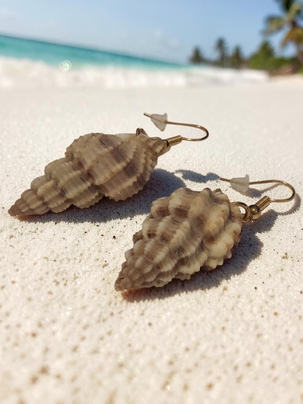 10 / $10 Shell Drop Earrings - Natural Brown & Cream